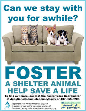 foster-poster